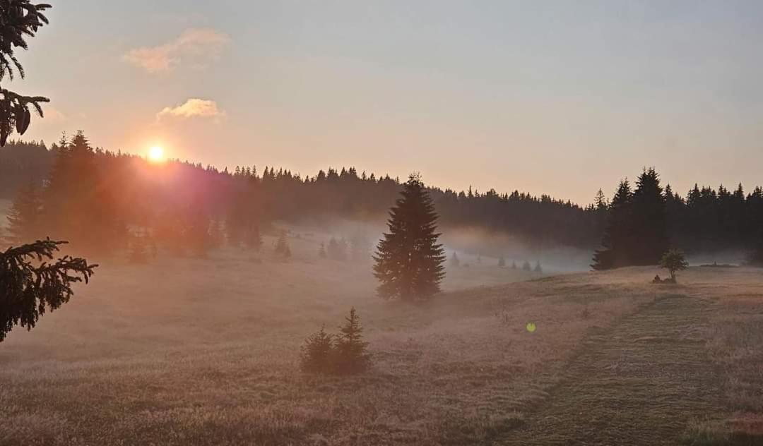 U Krizku Country house Modrava