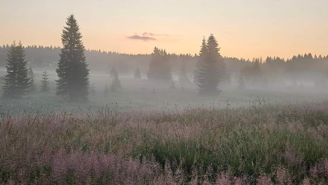 U Krizku Country house Modrava